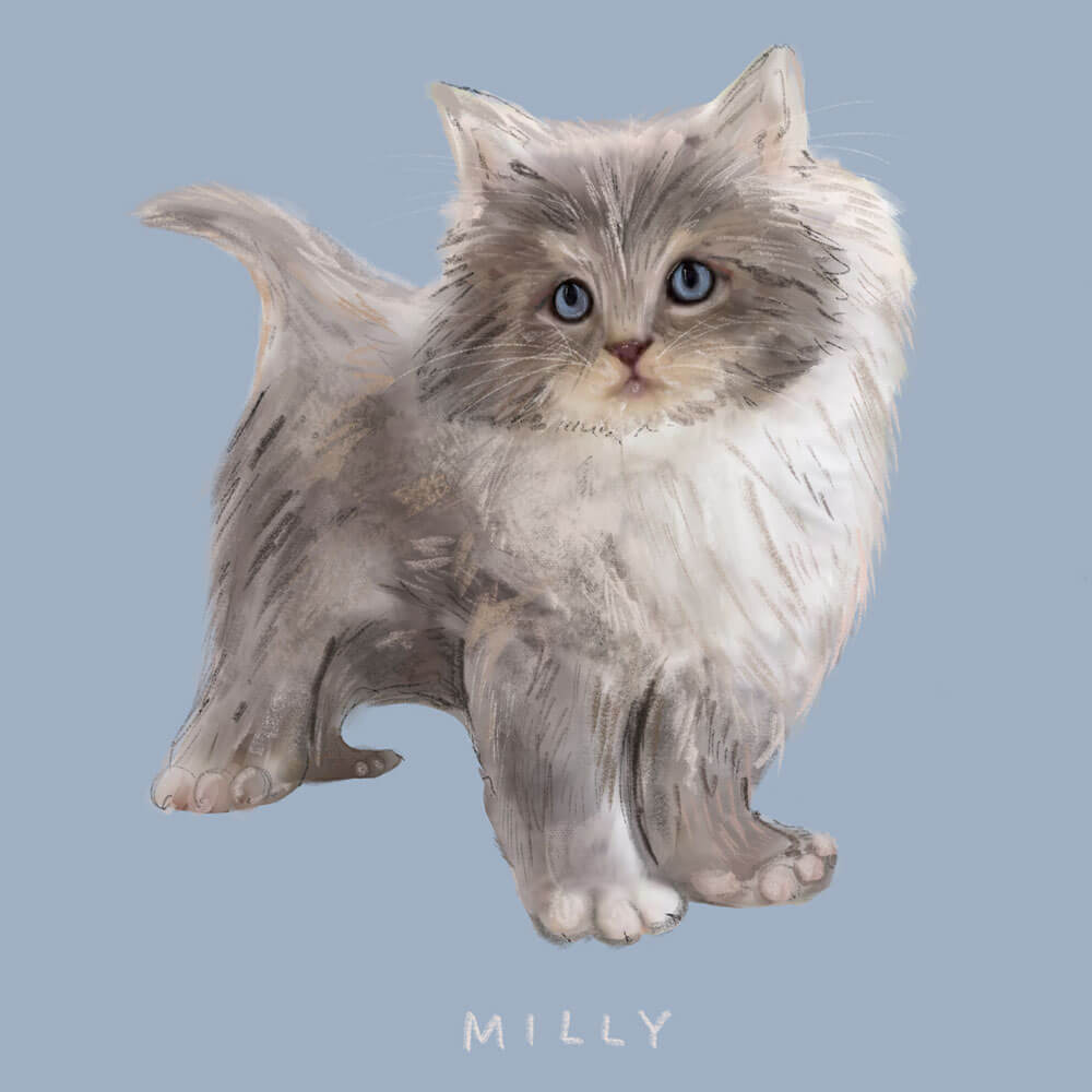 mily-cat