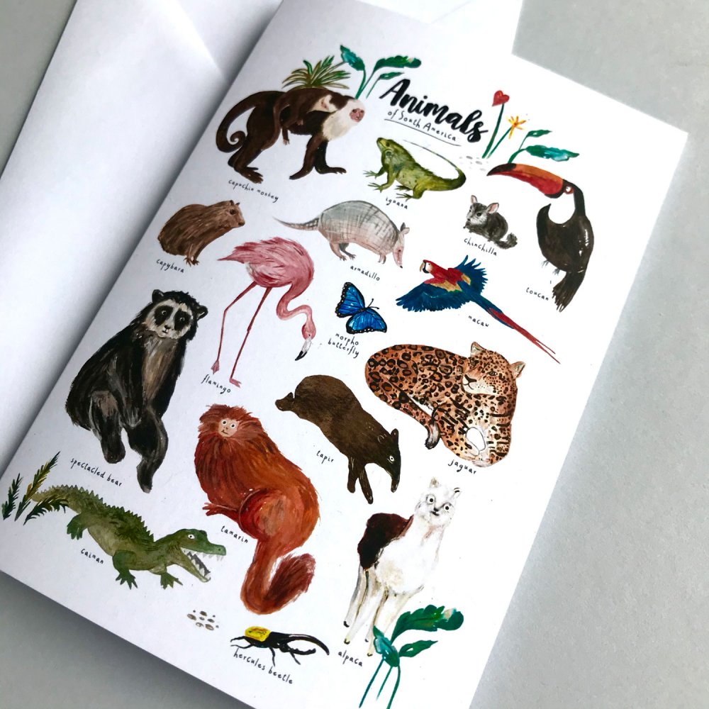 animals-of-south-america-card