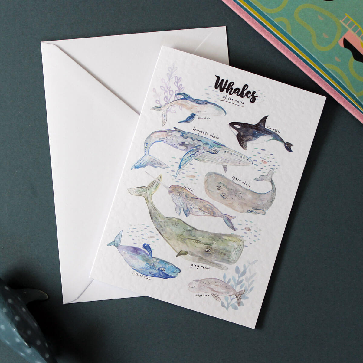 whales-card2
