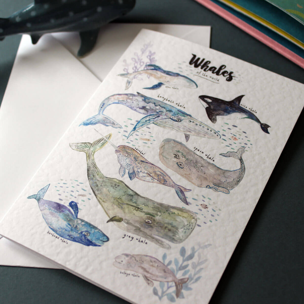 whales-card3