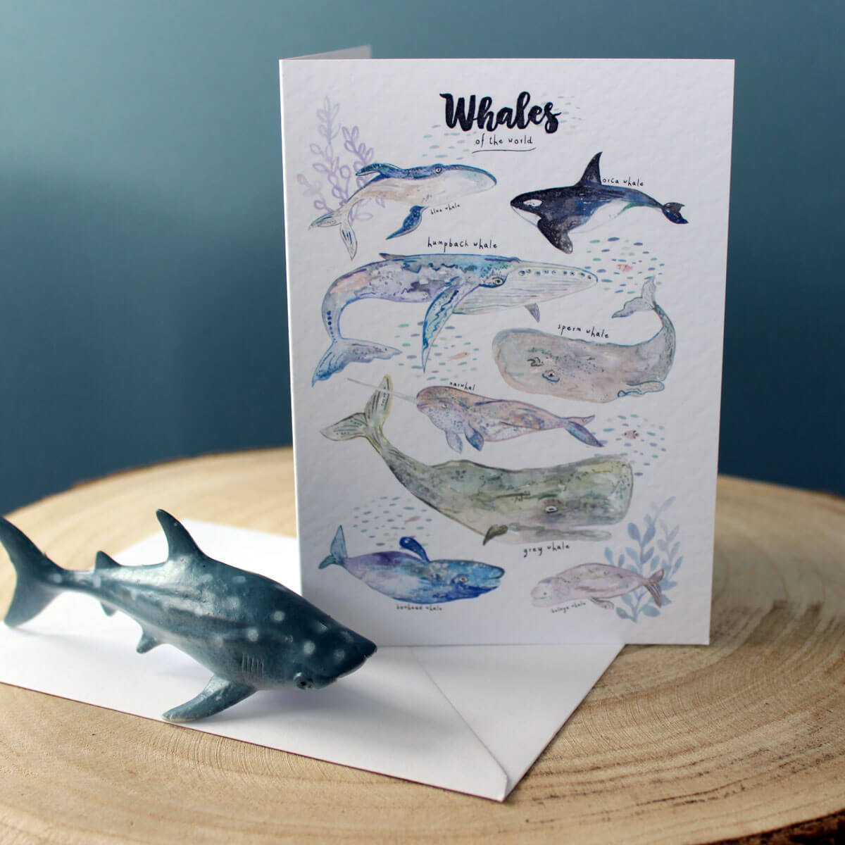 whales-card5