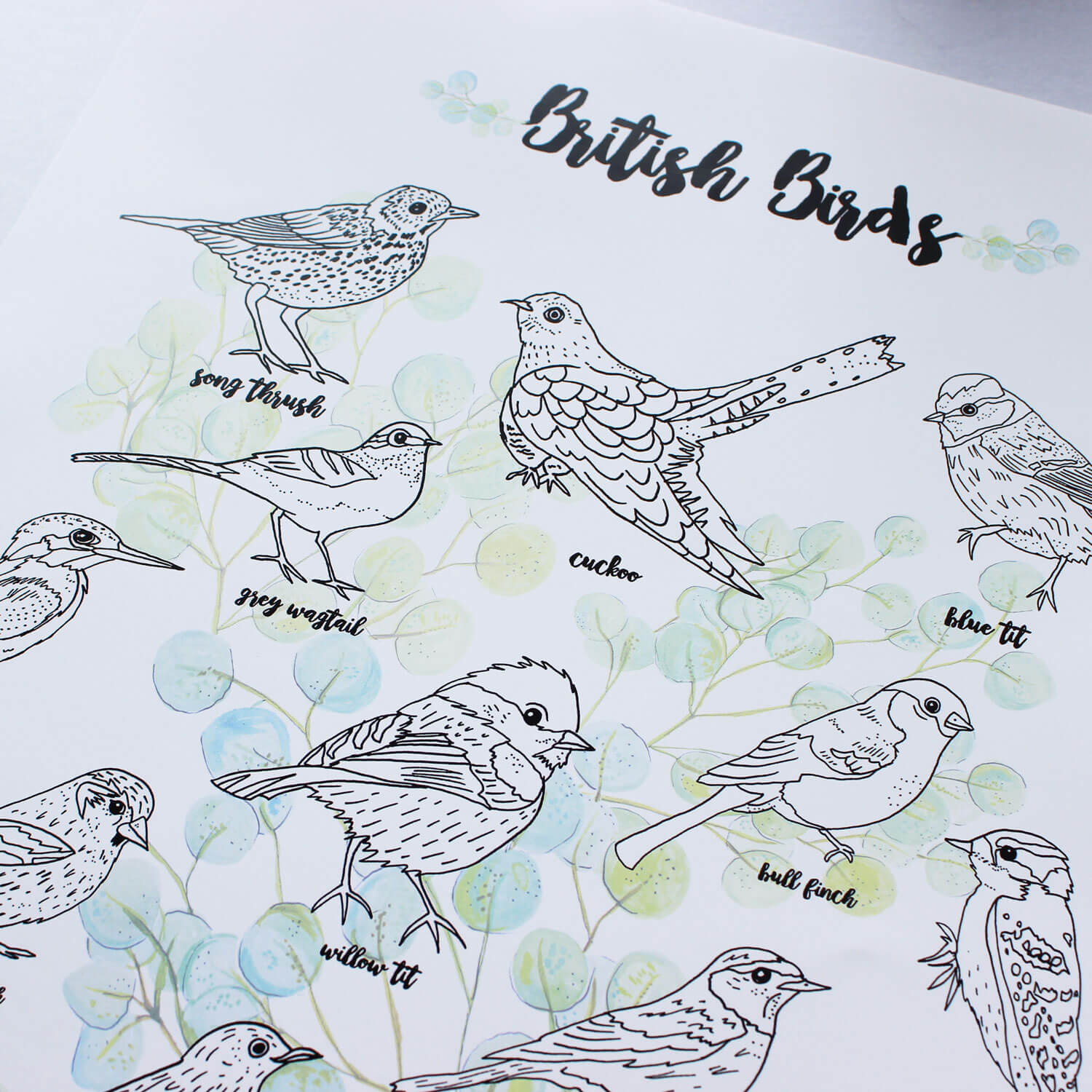 british-birds-art1