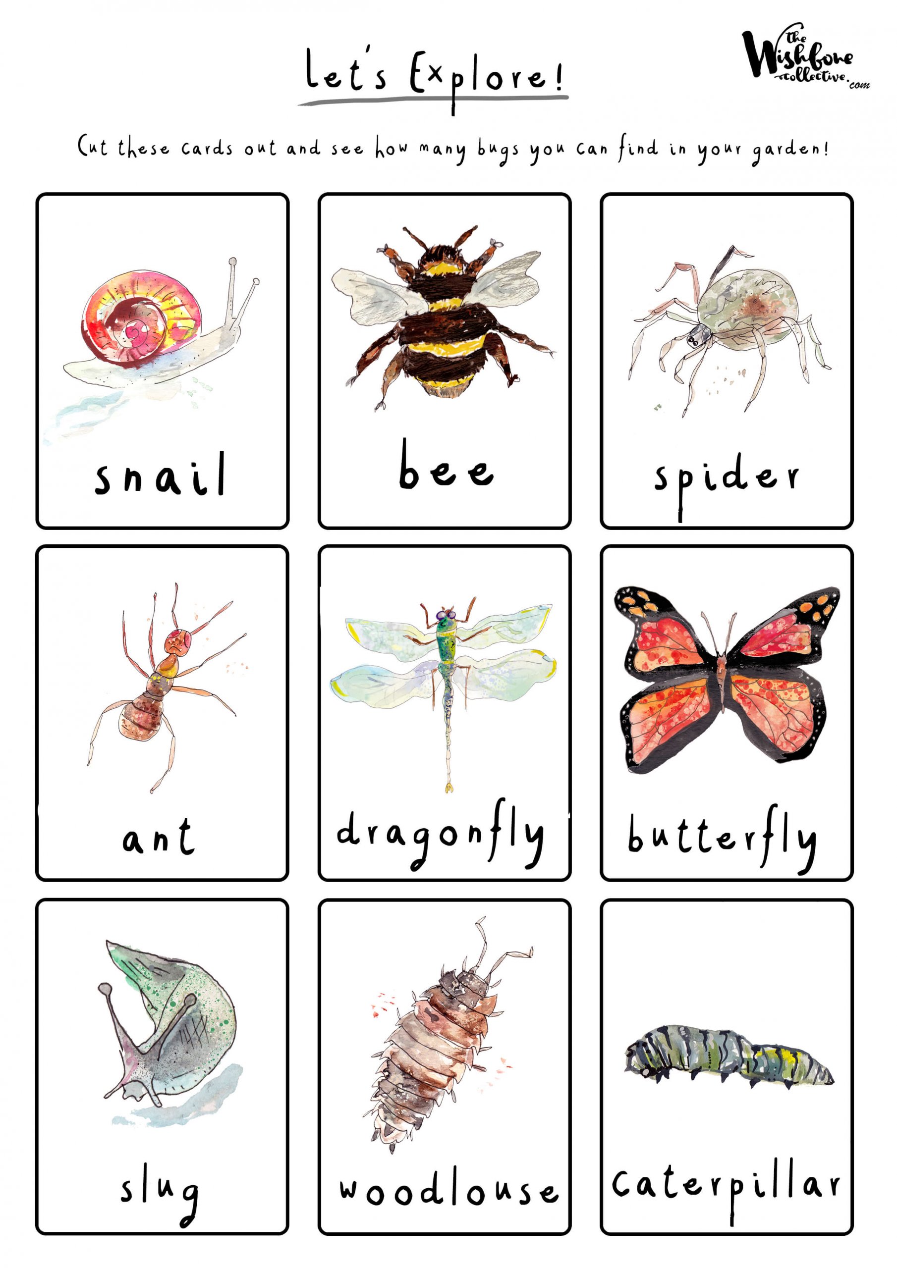 Bug Hunting Cards 1:2