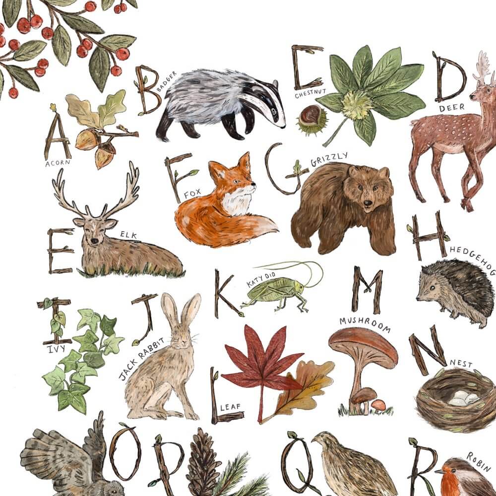woodland-forest-alphabet-zoom-in