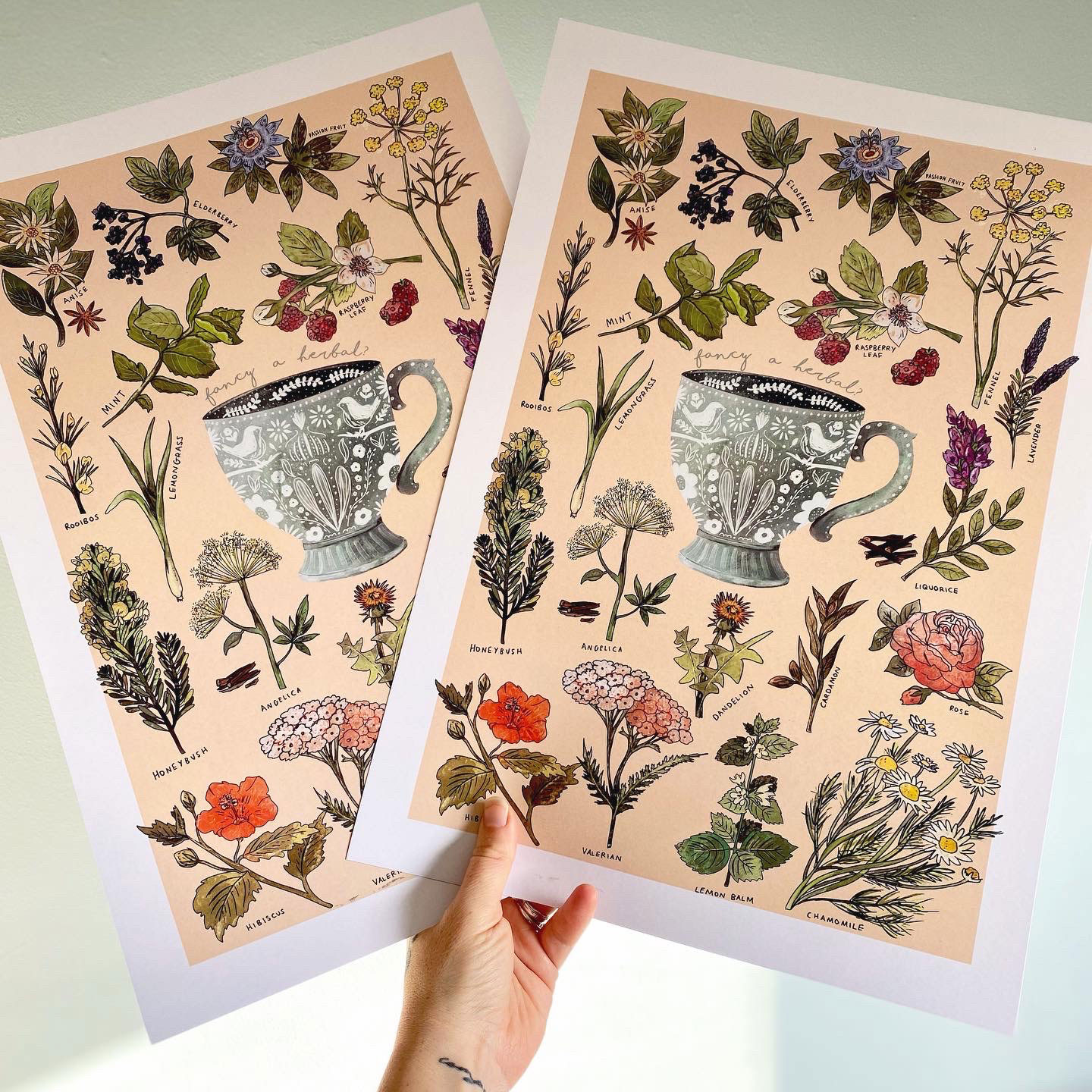 botanical-tea-herbal-prints